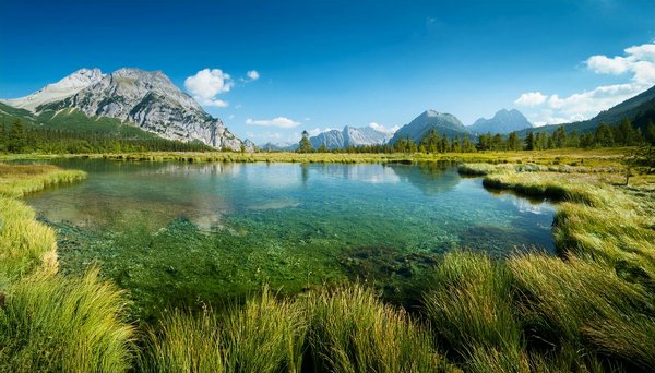Où participer à un atelier de fabrication de jouets en bois en Autriche?